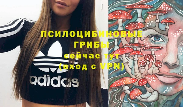 спайс Краснослободск